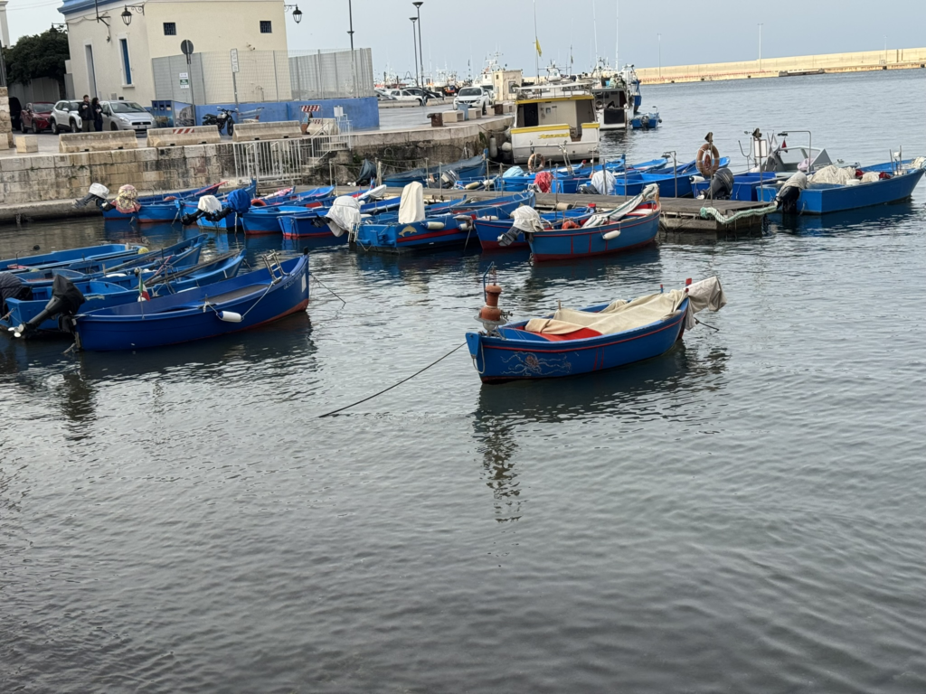 små fiskebåde i havnen i Monopoli